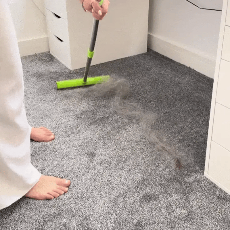 Pawtastic™ Pet Hair Broom